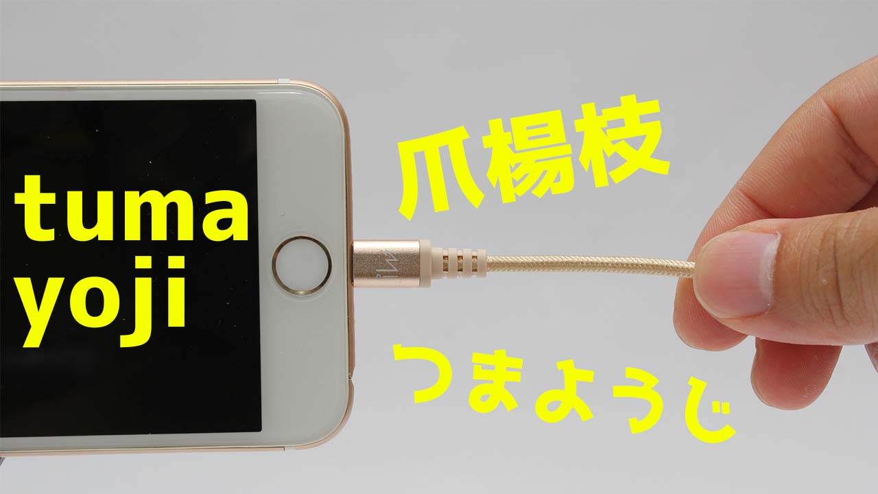 Iphoneの充電ケーブルが差さらない接触不良は爪楊枝でほじくれば治るかも Konoji